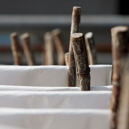 深圳vi設計公司作品案例展示