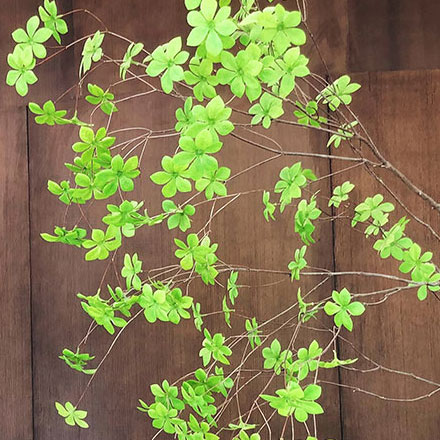 vi設(shè)計公司有哪些