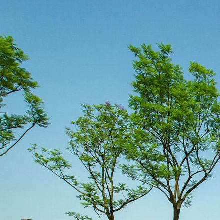 湛江vi設(shè)計公司